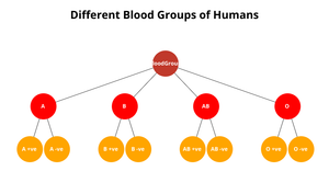 Family Tree by using html
