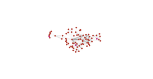 Force-Directed Graph new format
