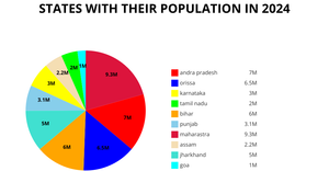 pie_chart_question1
