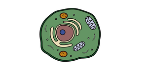 cell_svg_modification