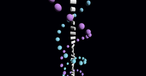 Double Helix
