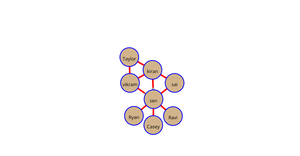 ICE-8 Network