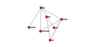 Network Graph