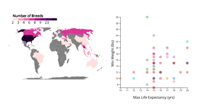 Fork of Cat Data draft 4.1 popuptooltip experiments
