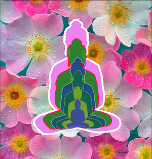 6 Buddha svs