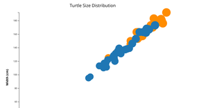 Bubble Chart in D3