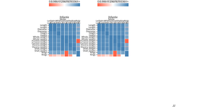 Correlation Matrix