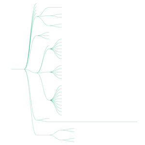 Fork of World Countries Tree to RiskSystem