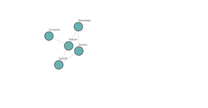Social Network Graph