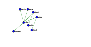 Social Network graphic