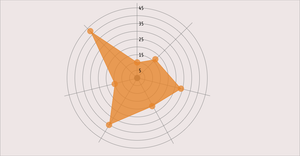 Psuedo Spider Chart