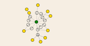 Fork of Force Network