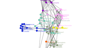 Force-Directed Graph
