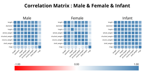 Correlation Matrix