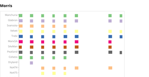 Fork of Barley PunchCard Square Chart v5 - static