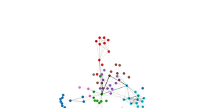 Network