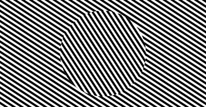 Sol Levitt Animated