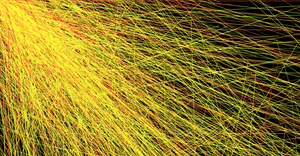 Fork of Fork of Fork of Concentric circles -linear gradient
