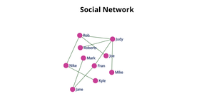 ICE-8: Social Network