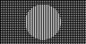Sol LeWitt Vertical