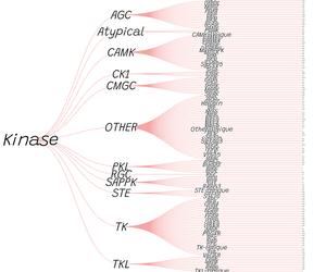 Fork of World Countries Tree