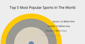 Most Popular Sports Ranked By Total Fans