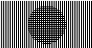 Sol Lewitt Reproduction vertical