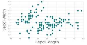 Scatterplot iris dataset
