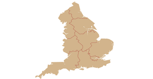 Country MAp using TOPOJSON data