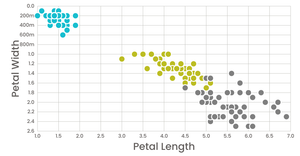 dv.25 - scatter plot: petals