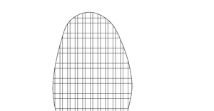 Insole