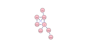 Social Network Graph