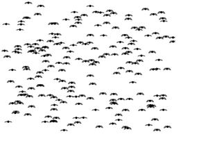 Bees with Random Timing