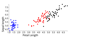 IC6 Iris Dataset Scatter Plot