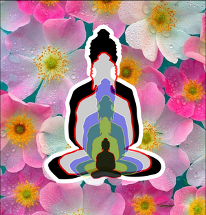 6 buddha's