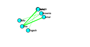 Social Network
