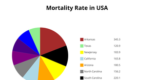 Pie Chart