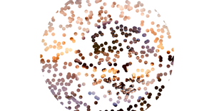 Scatter Plot with Image Mask