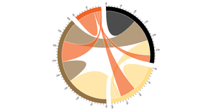 Chord Diagram Observable Port