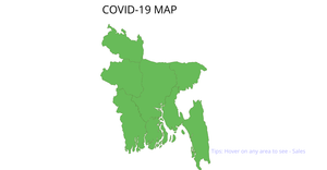 COVID-19 Data on BD MAP