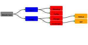 Activity 8 Question 6