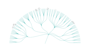 Fork of Radial Tree of Countries Hierarchy