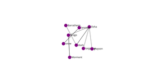 Network graph of social connection