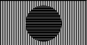 Sol Lewitt Project