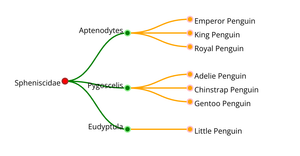 Tree chart for Penguin species