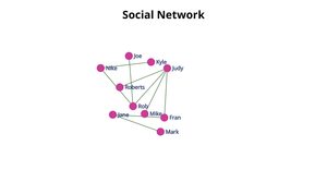 ICE-8: Social Network
