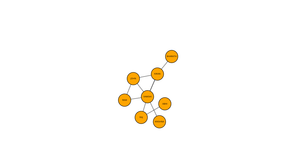 ICE8 Social Network