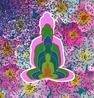 Buddha reflection project