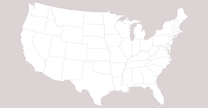 ICE8 - USA Map