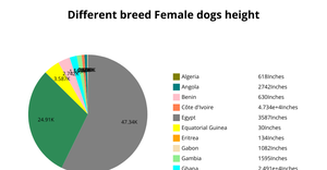 task 9 pie chart